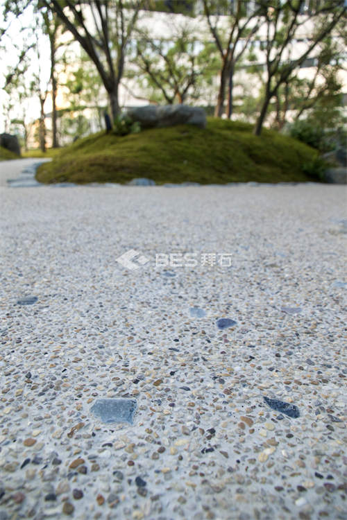 _M8A5212.jpg _M8A5212.jpg