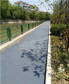 上海徐匯透水路面指導(dǎo)項目