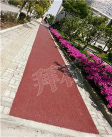 上海臨港新城環(huán)路自行車景觀綠道透水地坪項目！