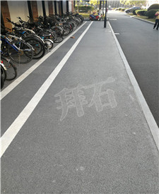 上海東華大學生態(tài)透水路面工程