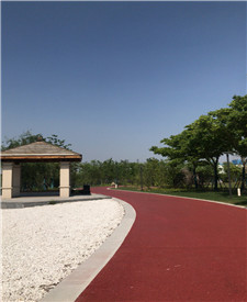 上海巨人網(wǎng)絡(luò)彩色透水砼項(xiàng)目