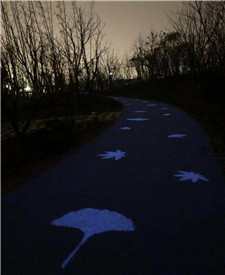 江蘇南通中央森林公園熒光陶粒路面