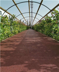 上海長寧政法大學(xué)二期透水地坪項(xiàng)目