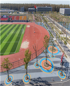 上海臨港電力學院透水混凝土項目