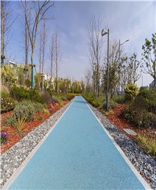 上海青浦博覽會公園彩色透水地坪項目