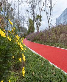 上海浦東張江海豚灣紅色透水混凝土項(xiàng)目