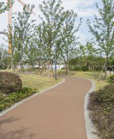 上海市奉賢區(qū)解放東路兩側綠地建設項目