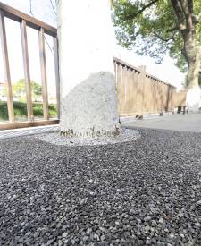 上海青浦膠粘石樹池項目