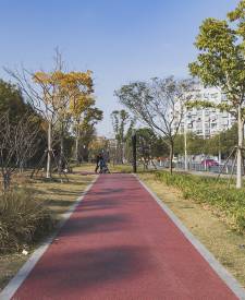 上海寶菊路紅色透水混凝土項(xiàng)目